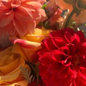 Meet your Posher, Natalia